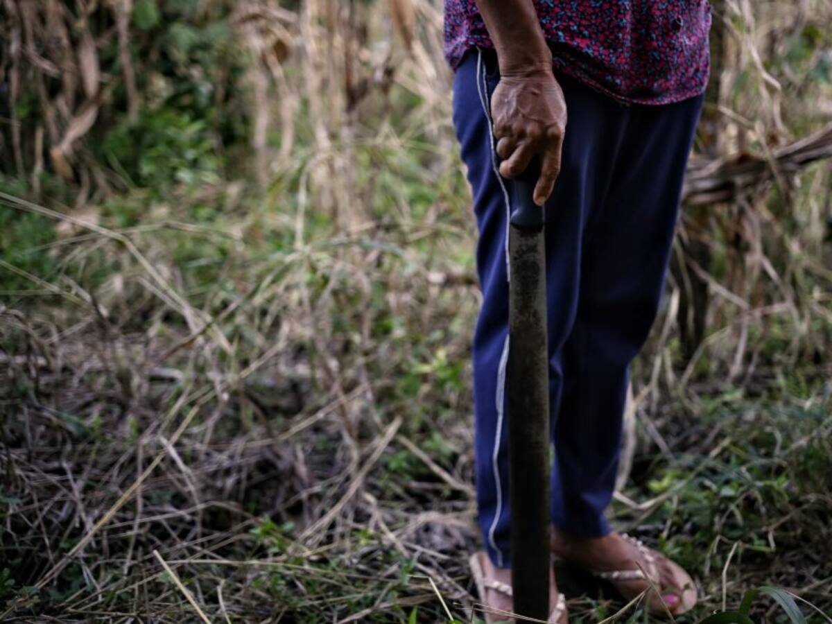 En Putumayo 20.340 familias cumplen acuerdos de sustitución