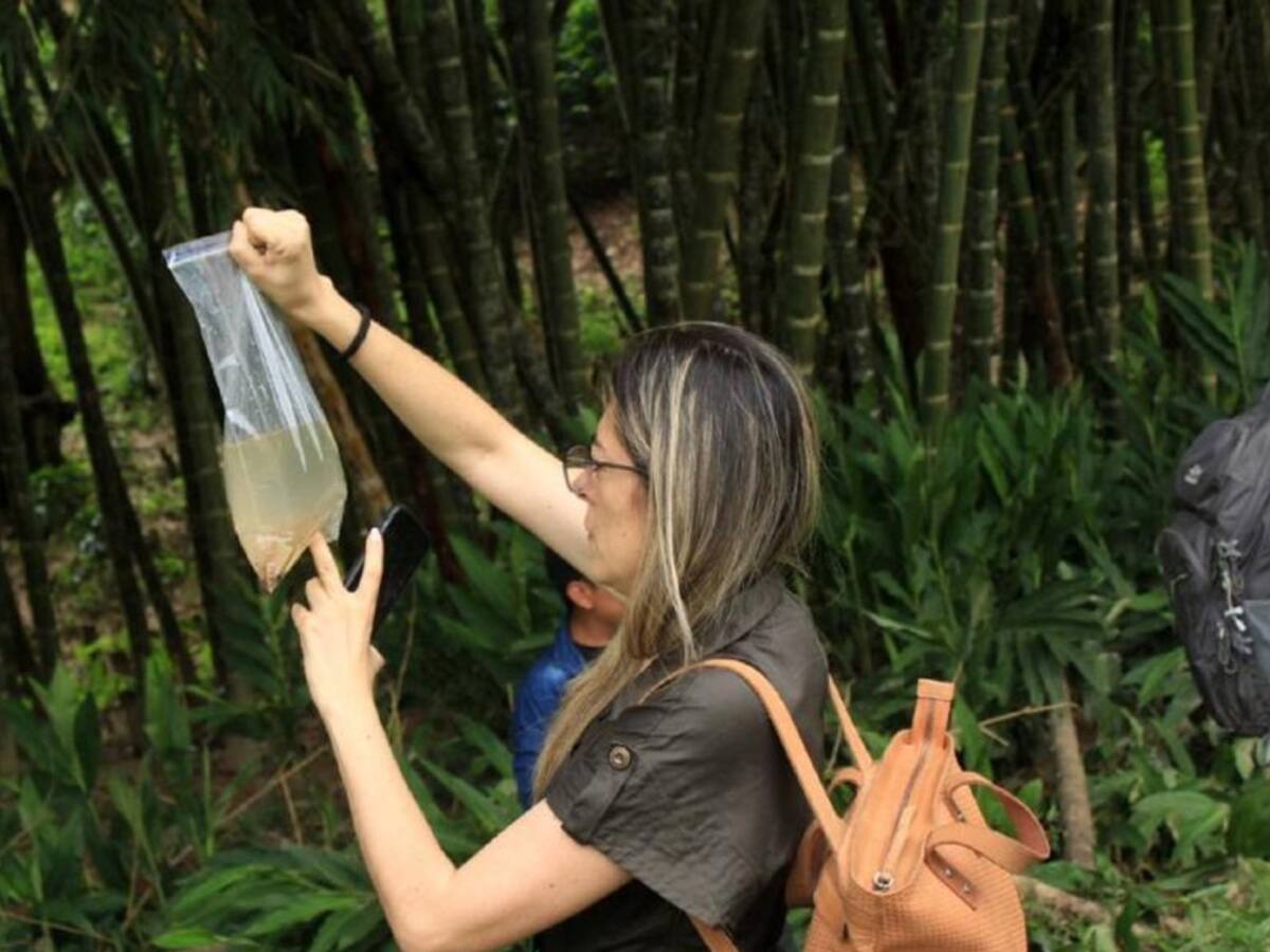 Huila adelanta caracterización de peces en ríos y quebradas