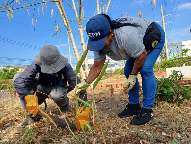 Alcaldía de Cartagena