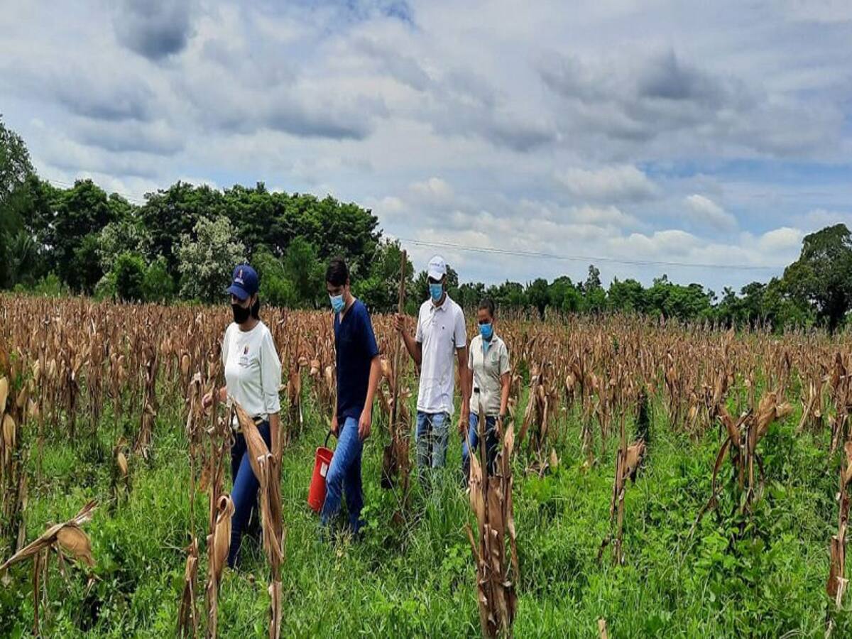 En Montería ponen en marcha una alianza para fortalecer el sector lácteo