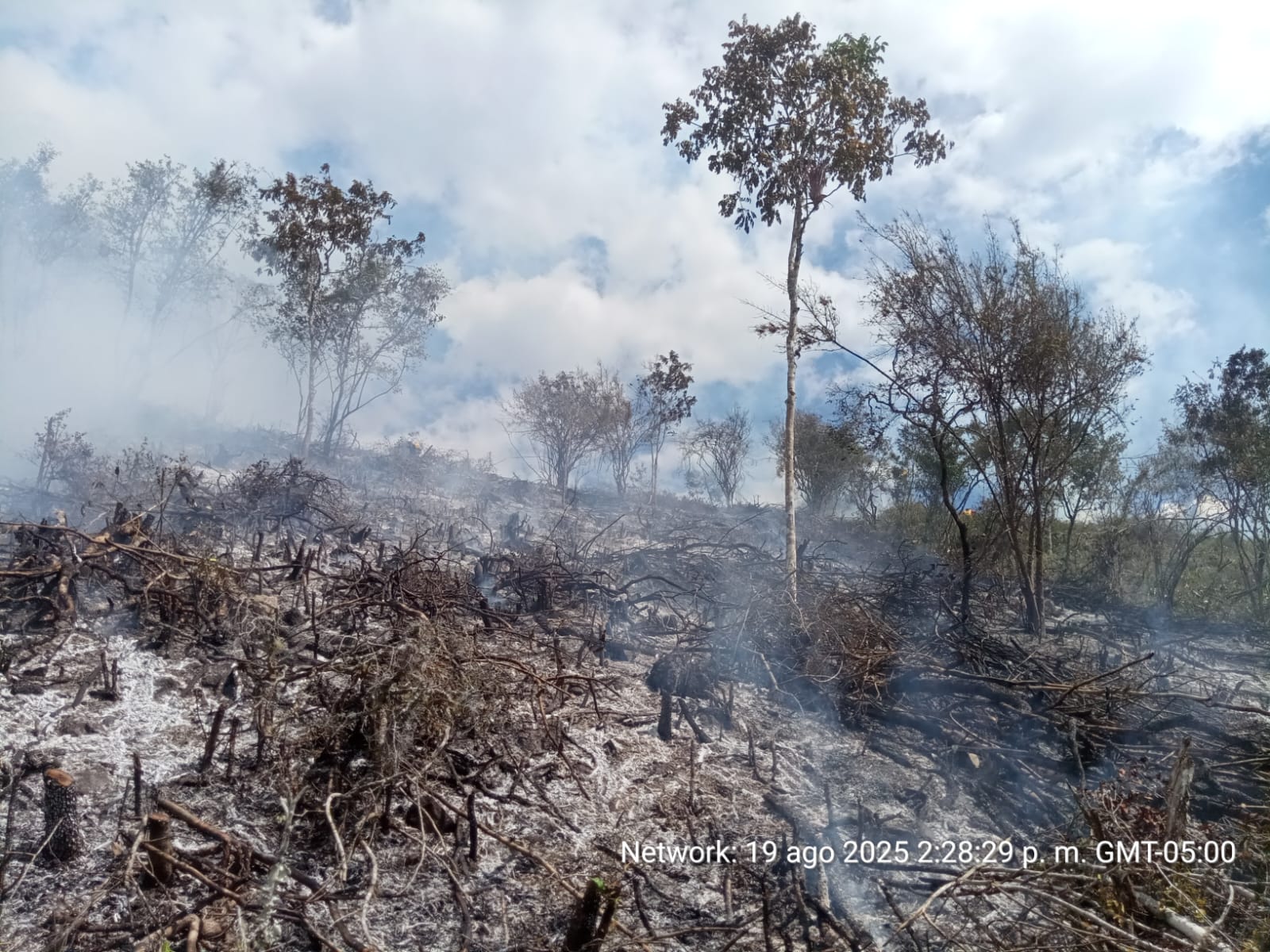 Al menos quince viviendas, principalmente en techos y cubiertas. Foto Gobernación-Huila.