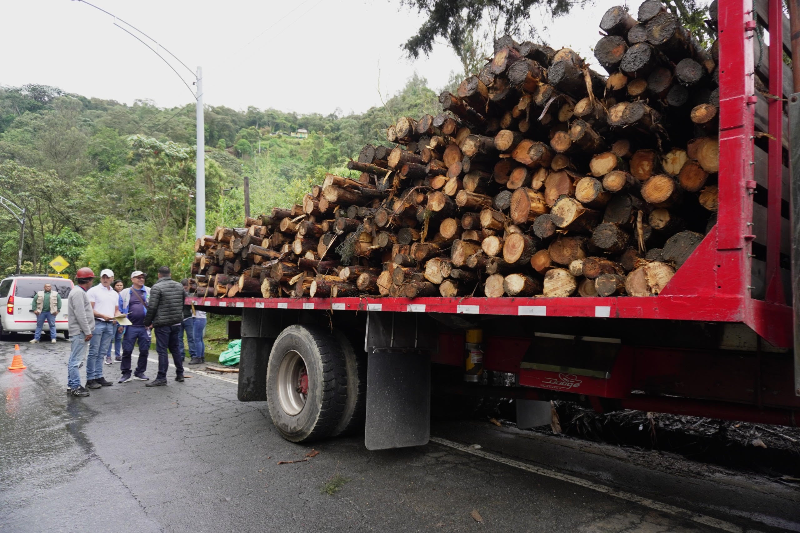 La madera incautada fue extraída de especies silvestres, algunas de ellas en peligro de extinción. Foto: Corantioquia.