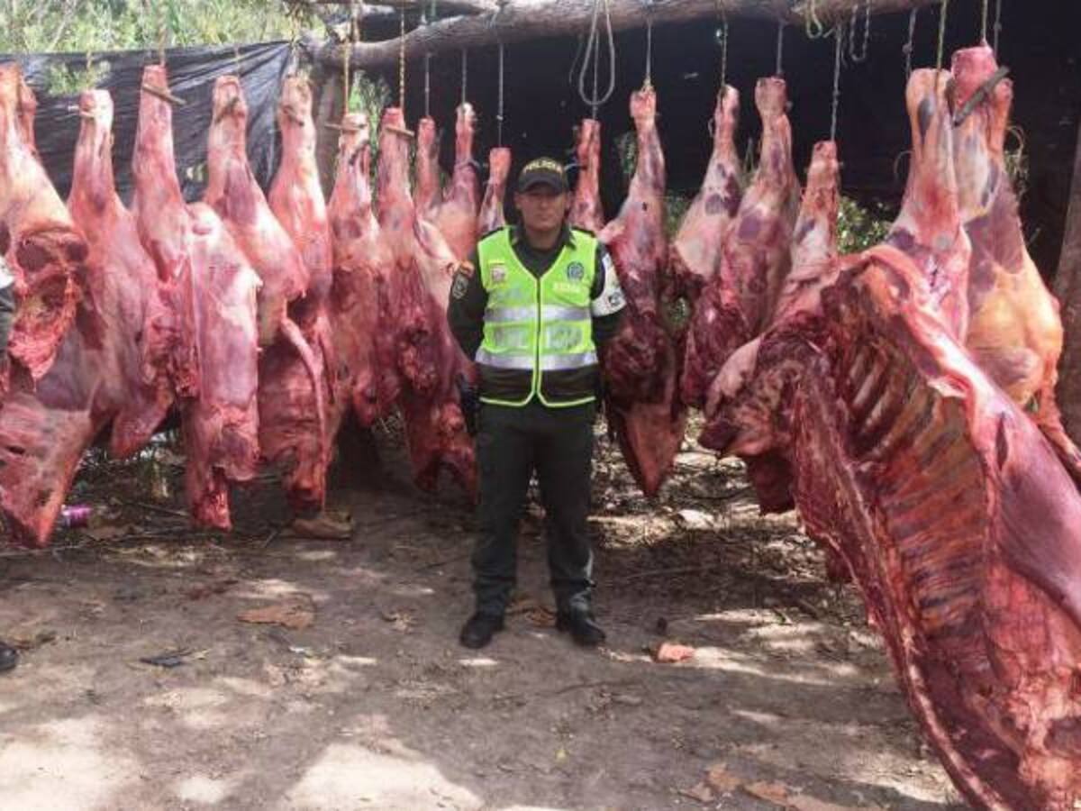 Detectan centro clandestino de comercialización de ganado