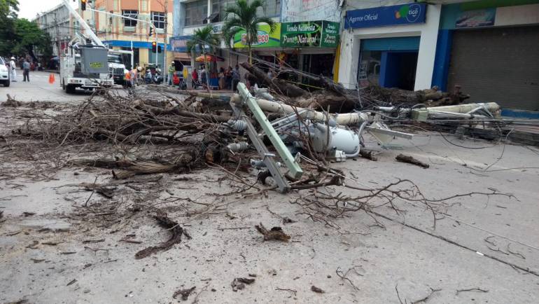 Árbol caído por las fuertes brisas derrumbó un poste del sistema eléctrico en el centro de Barranquilla