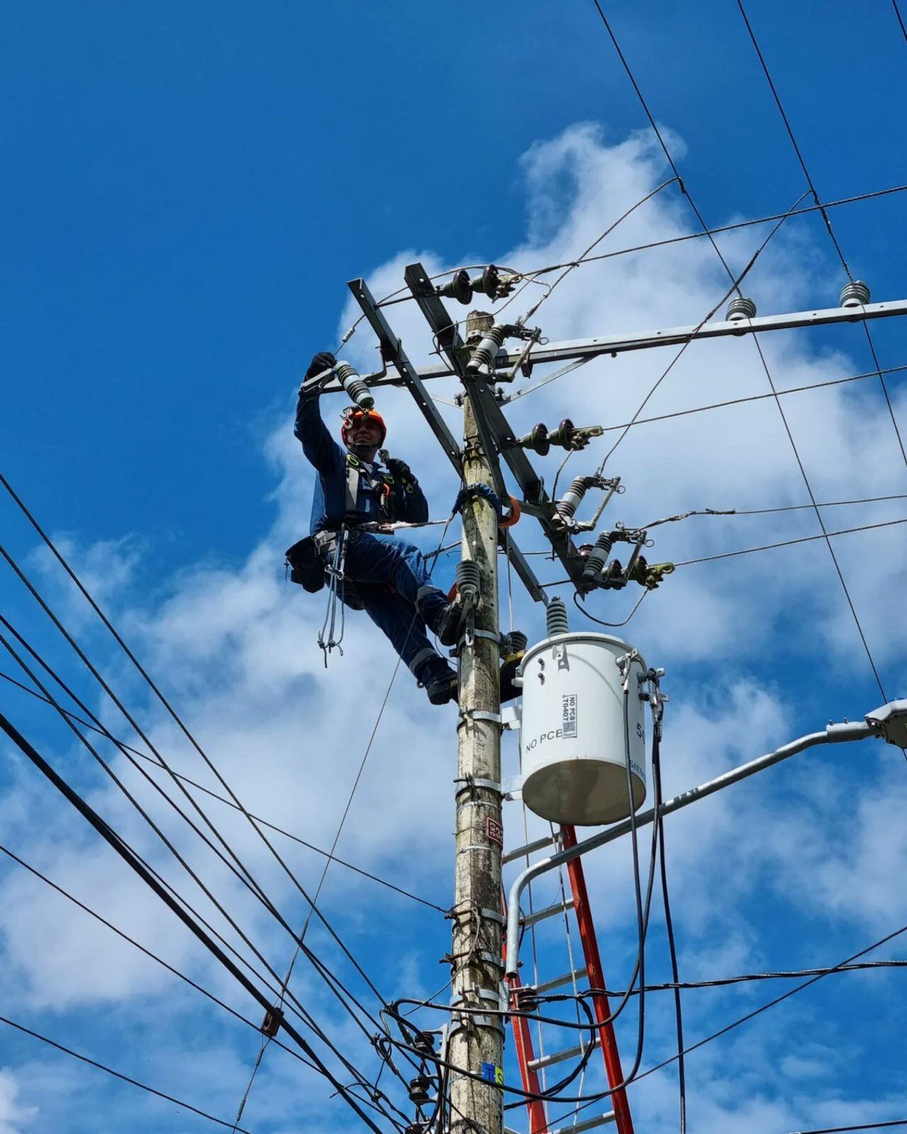 Foto: Suministrada (archivo)