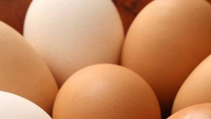 Cada año se consumen diez mil millones de huevos en Colombia