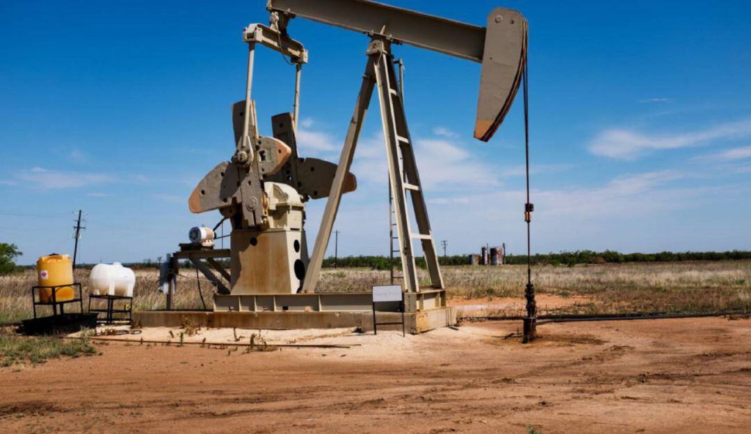 Imagen de referencia.