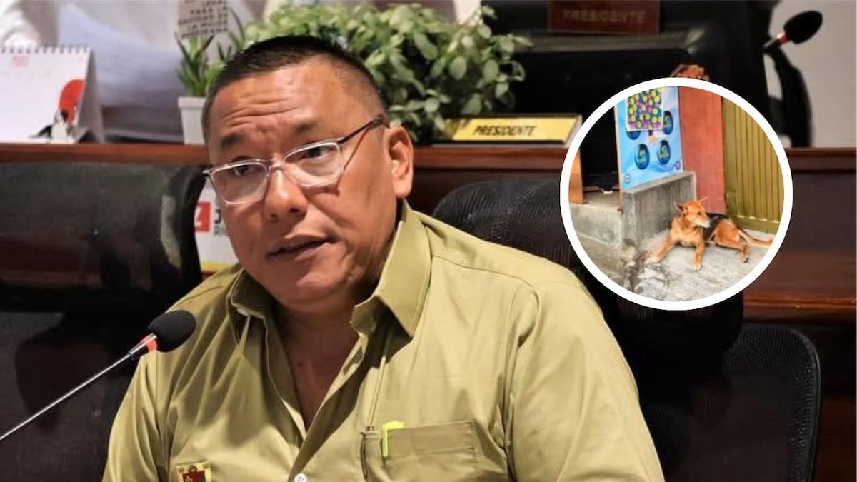 Personería de Pereira pide celeridad en investigación por caso de maltrato animal del perro ‘Tony’
