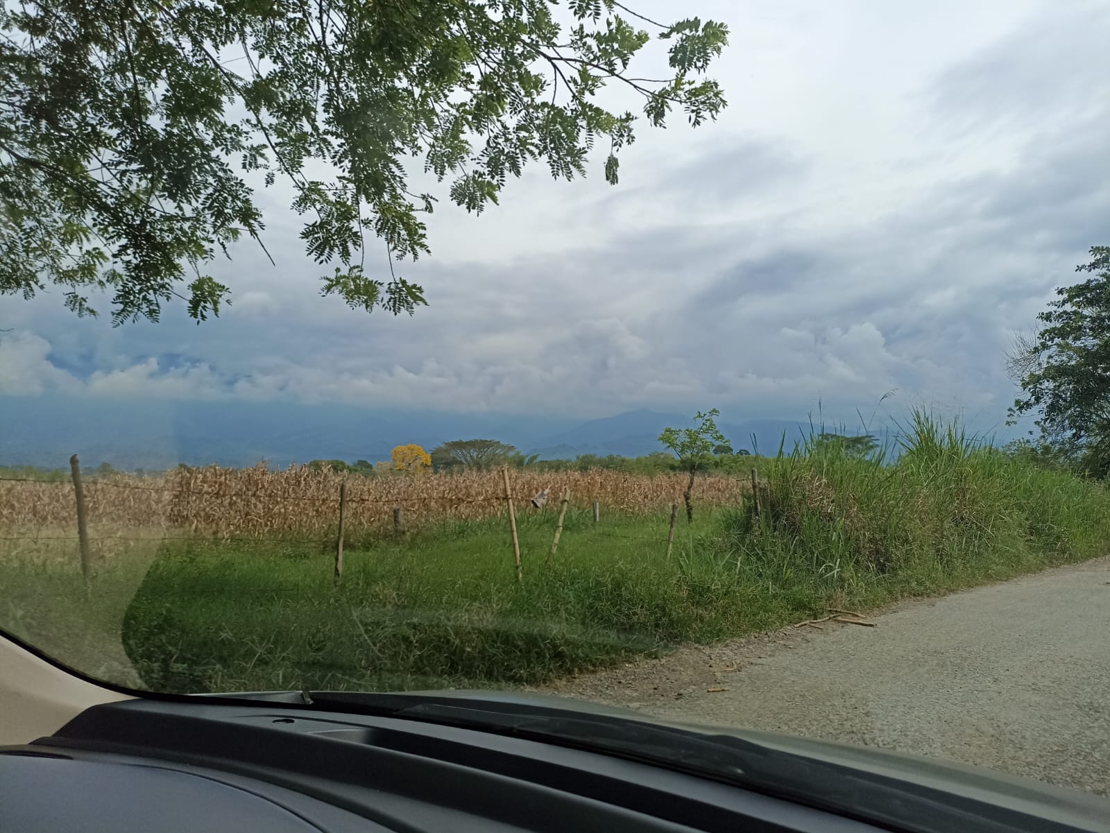 Los paisajes del Quindío, zona rural de La Tebaida