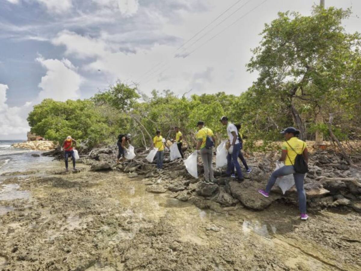 Recogen 600 kilogramos de residuos en Playetas