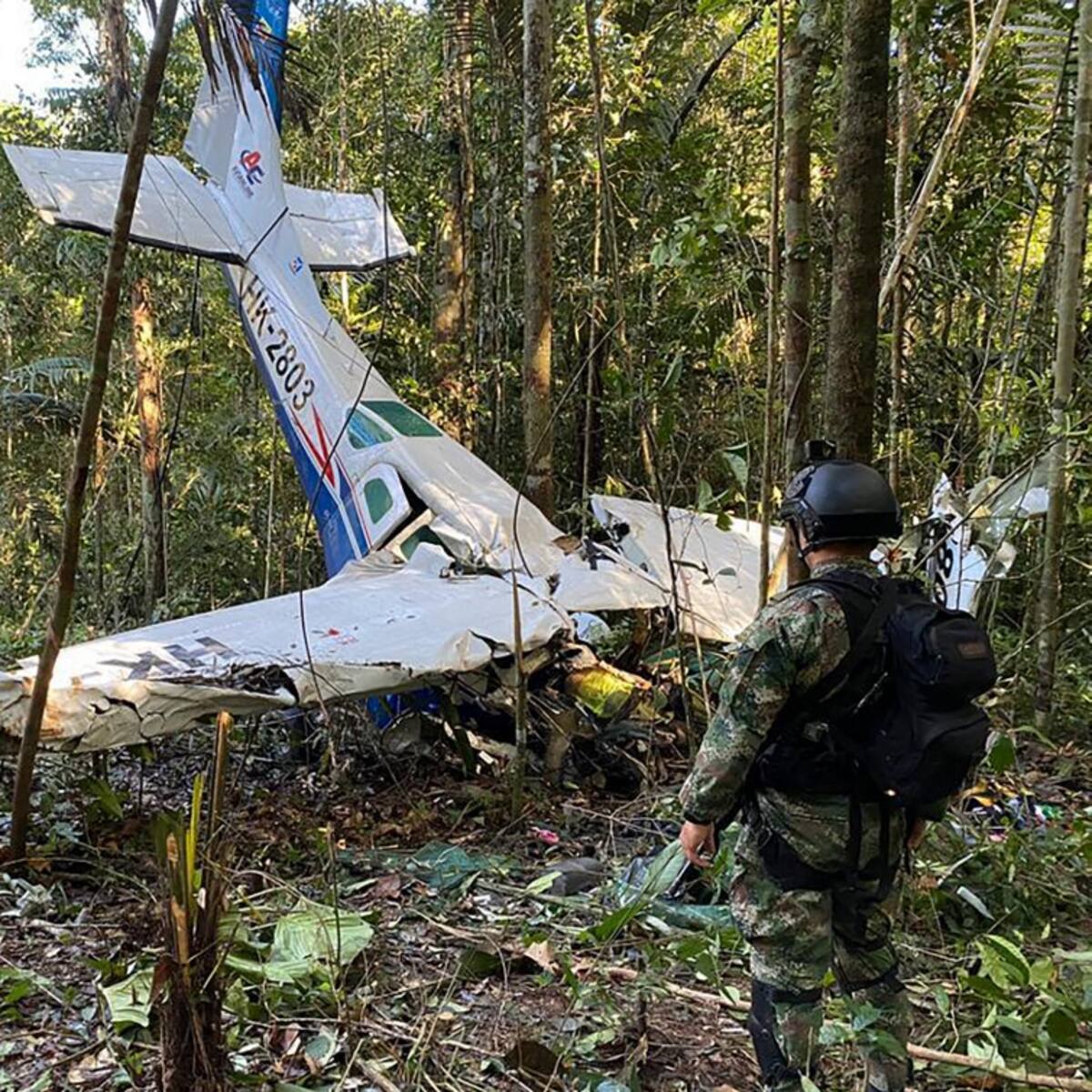 Niños perdidos en la selva: FF.MM. estuvieron a tan solo cien metros de ellos