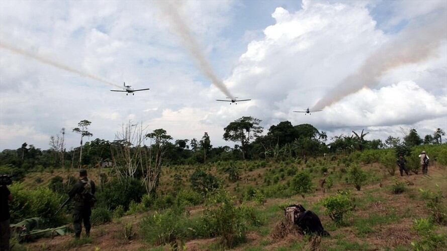 Bogotá, mayo 19 de 2015.- Foto de referencia para fumigación de cultivos ilícitos con glifosato. Foto: Colprensa