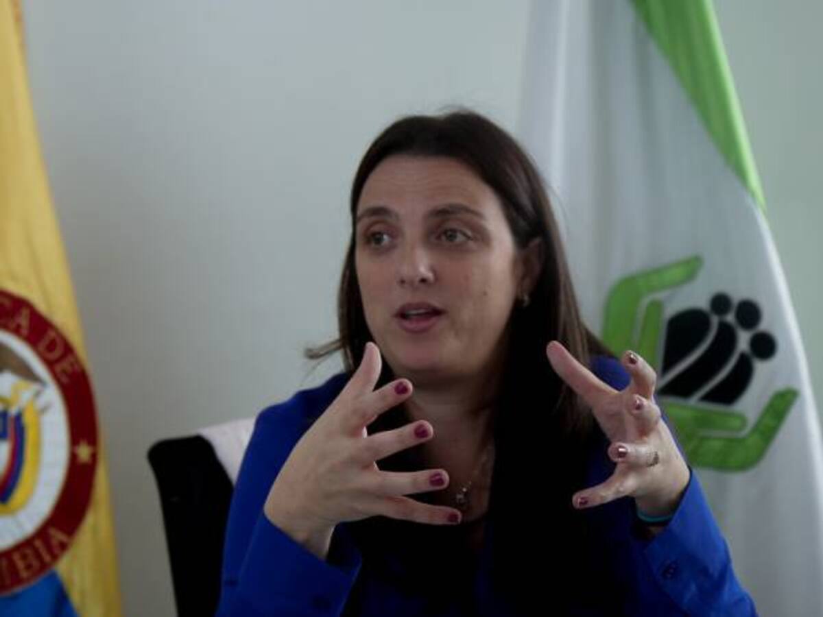 ICBF tomará medidas tras asesinato de un bebé de 4 meses, en Segovia