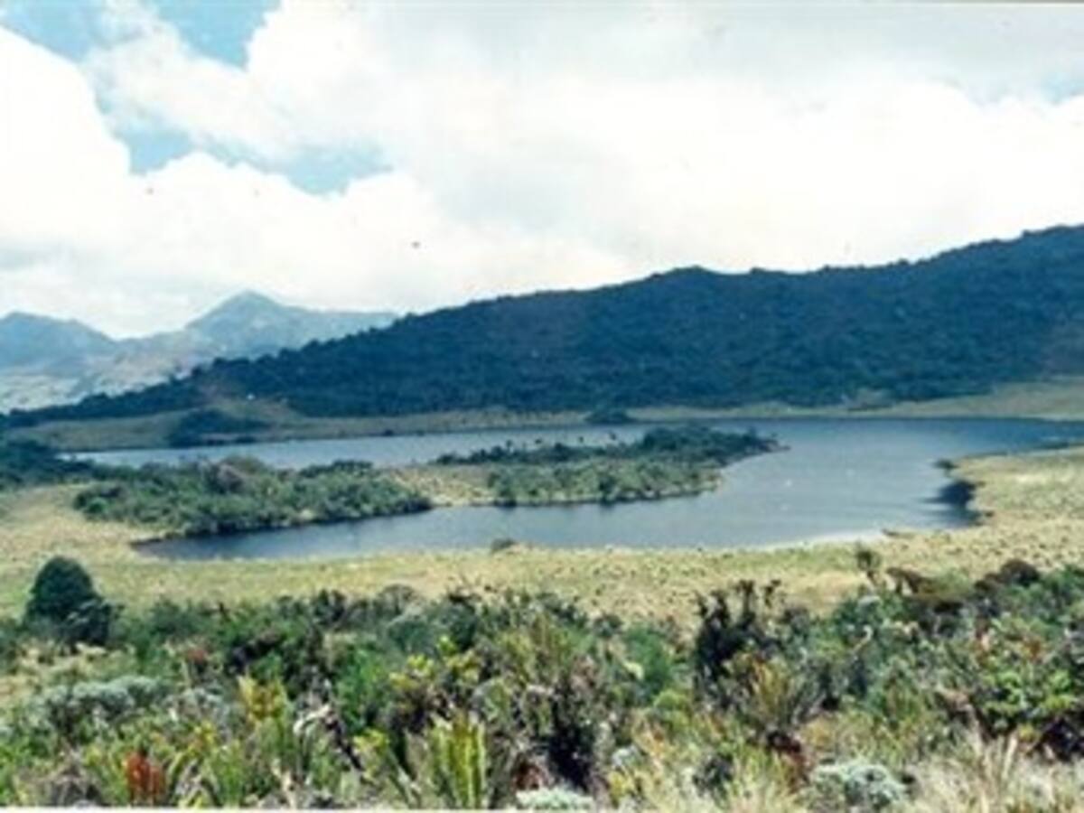 Cuatro días completa incomunicado el municipio de Inzá (Cauca)