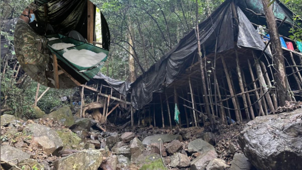 Ejército logró afectar finanzas de organizaciones ilegales en más de 7 millones de dólares