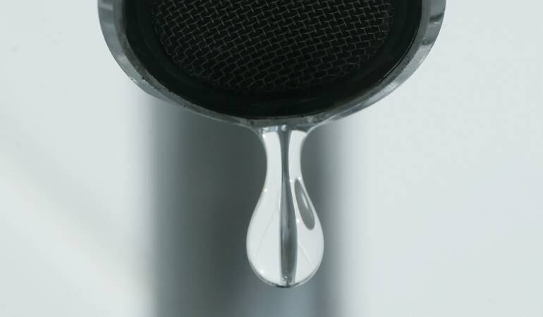 Imagen de referencia