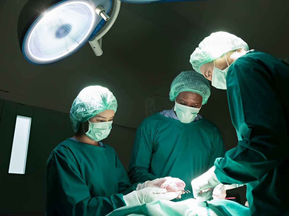 Falleció el primer paciente que recibió trasplante de riñón de cerdo