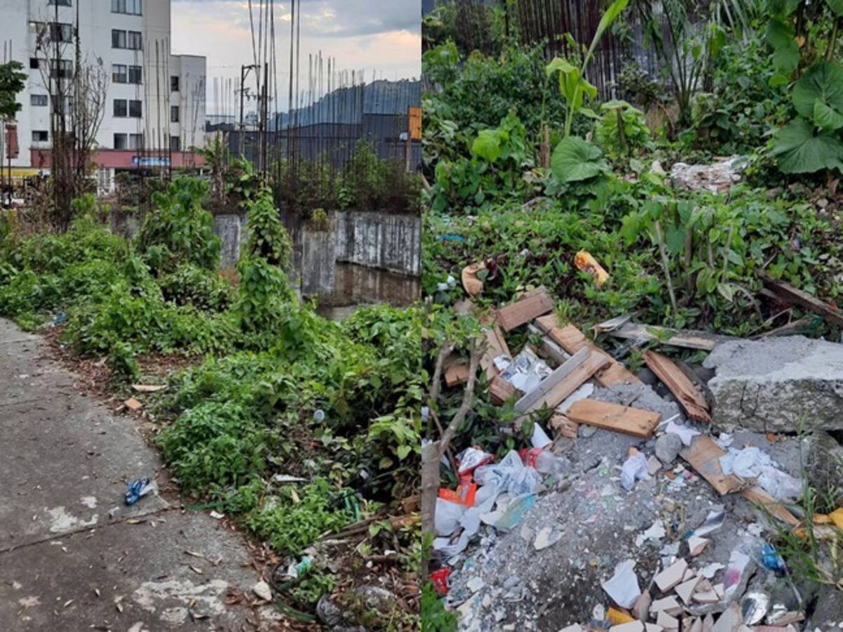 Lote abandonado en el centro de Pereira genera proliferación de plagas