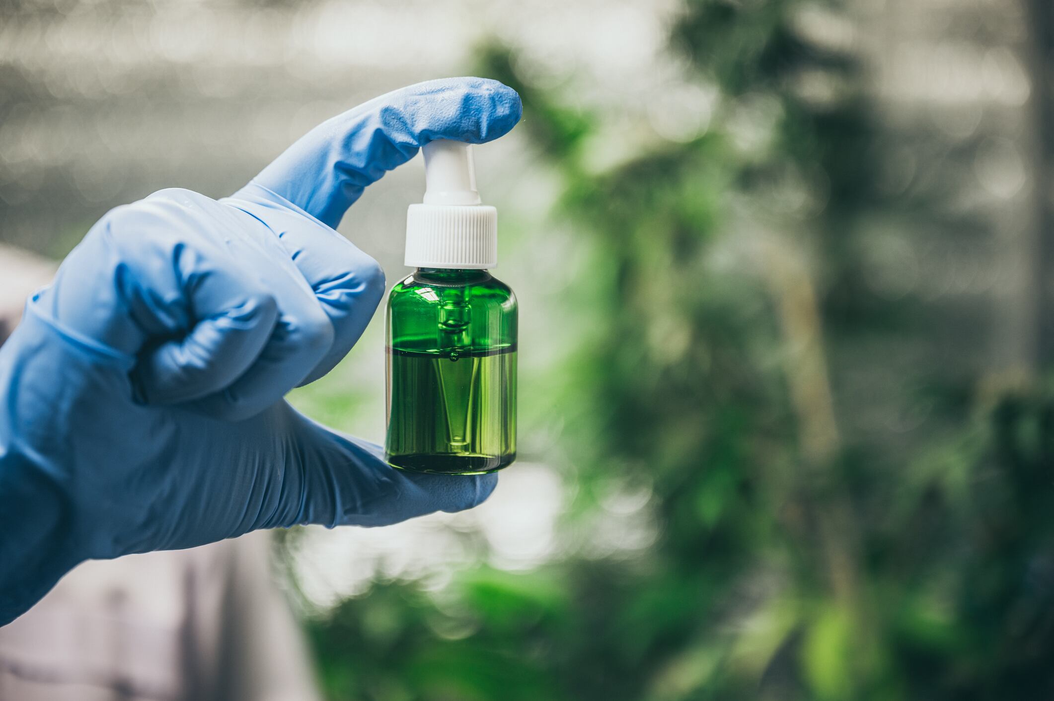 Uso industrial del cannabis en alimentos y textiles fue aprobado: ¿qué sigue?