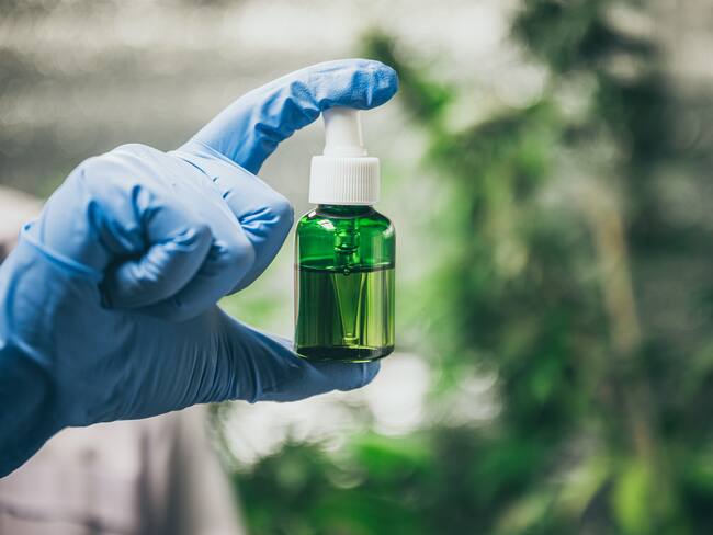 ABC del uso industrial del cannabis en alimentos y textiles en Colombia