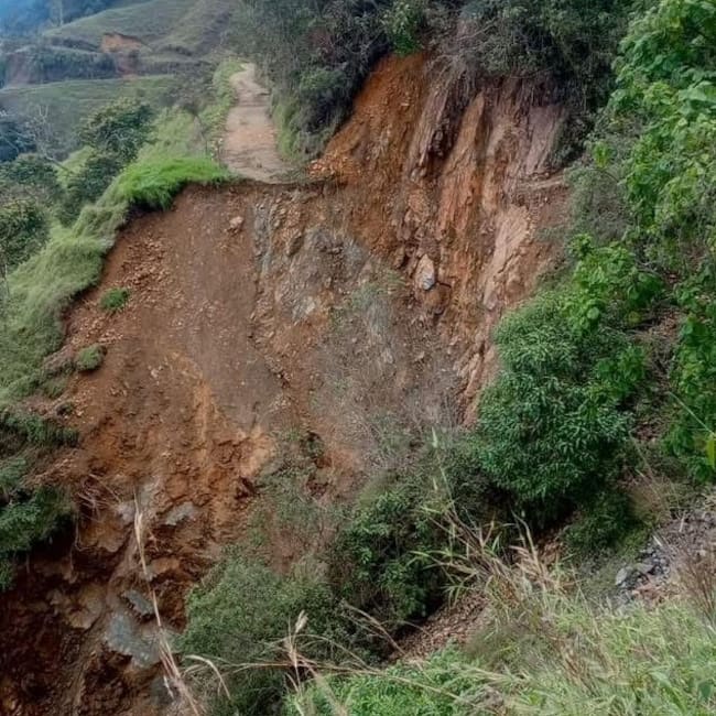 Ola invernal ha dejado afectaciones en dos corregimientos de Bucarasica, en Norte de Santander. / Foto: Cortesía comunidad.