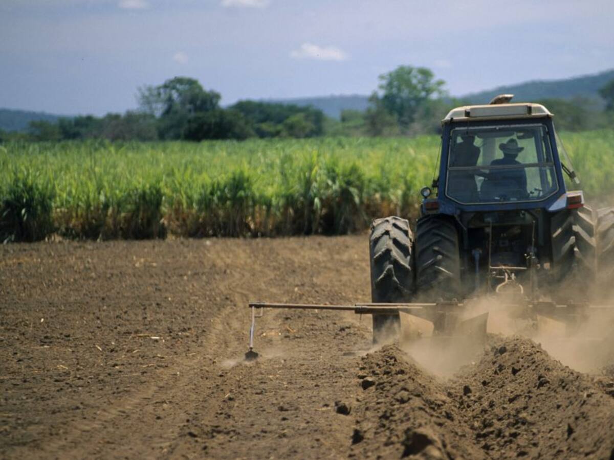 Trabajo sí hay en Colombia: empleo en operarios y técnicos operativos
