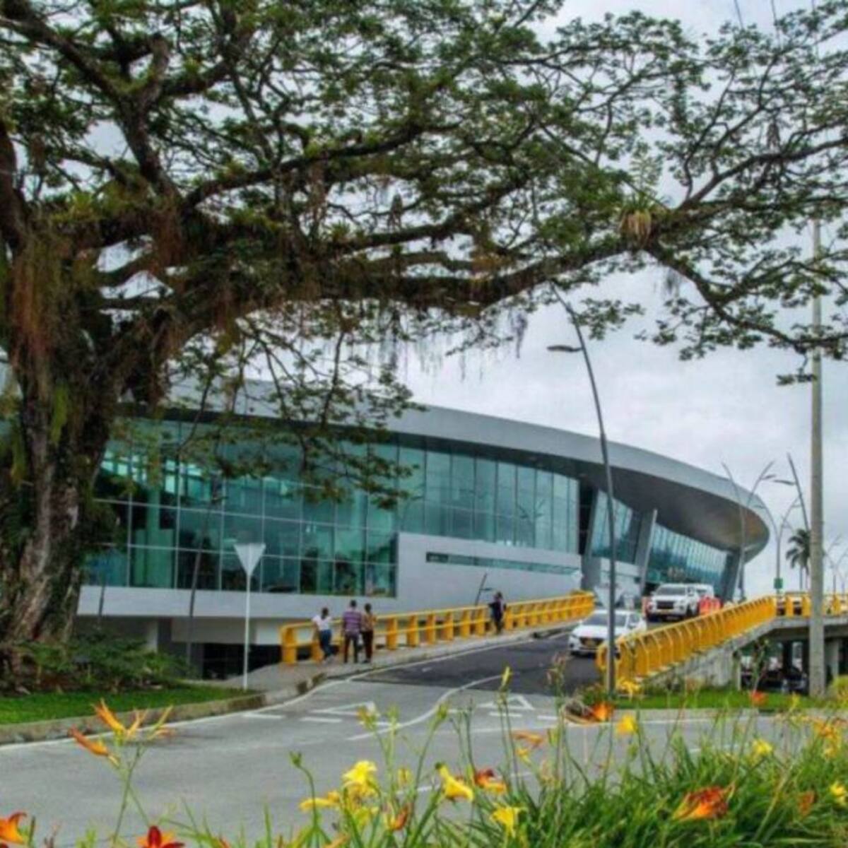 El Aeropuerto Matecaña de Pereira implementará servicio de carga aérea