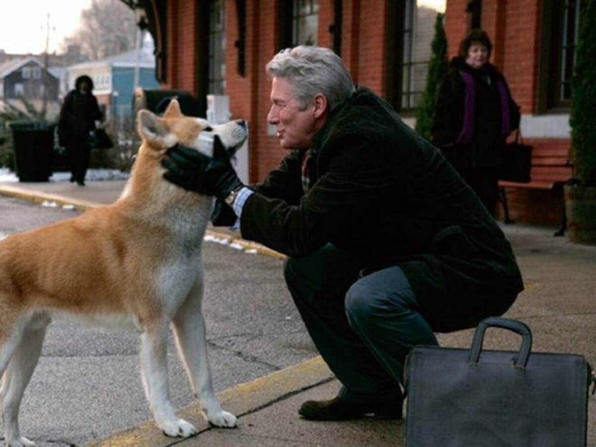 Estos son los perros más famosos de la televisión