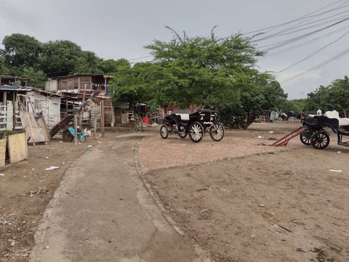 Cocheros de Cartagena en desacuerdo con solicitud de la procuraduría