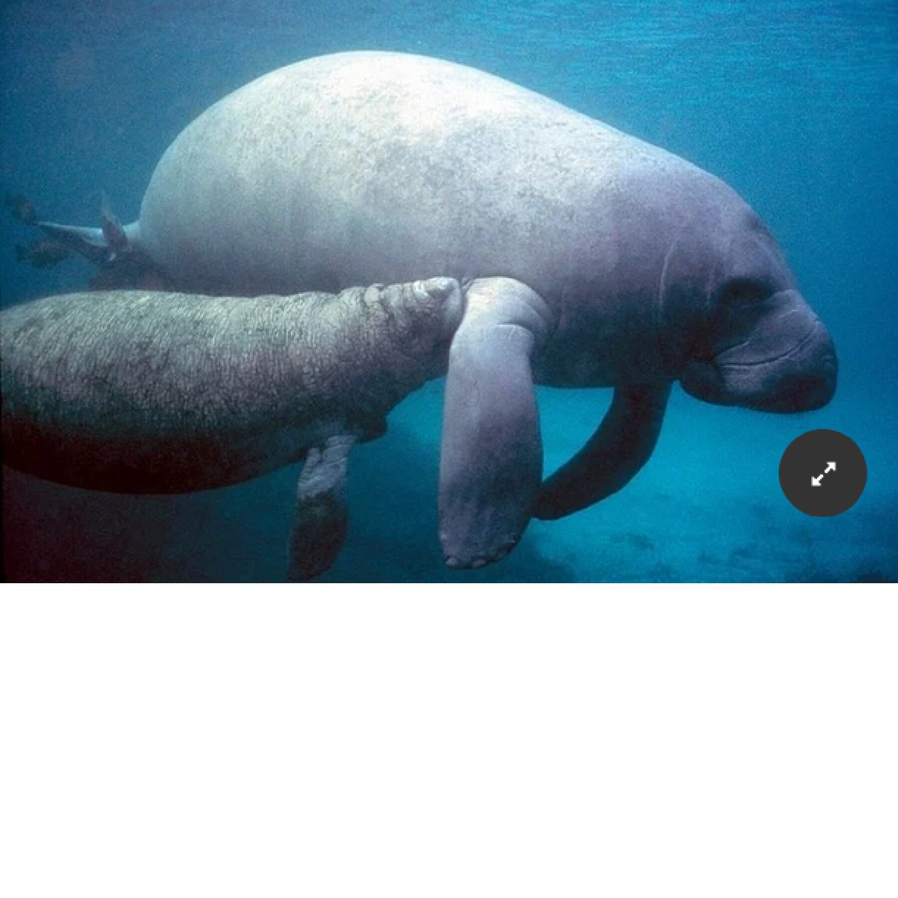 Foto tomada de Internet