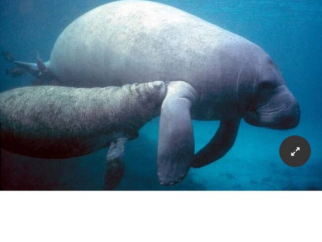 Foto tomada de Internet