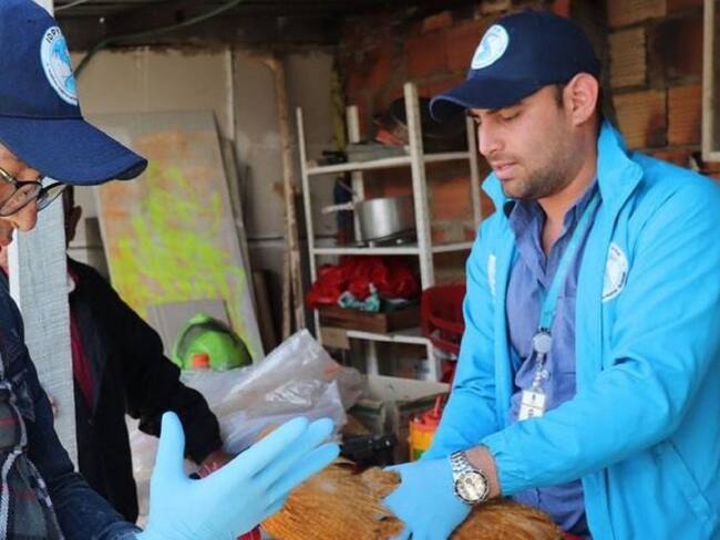 ¡Aberrante! rescatan gallinas abusadas por un hombre en Bogotá