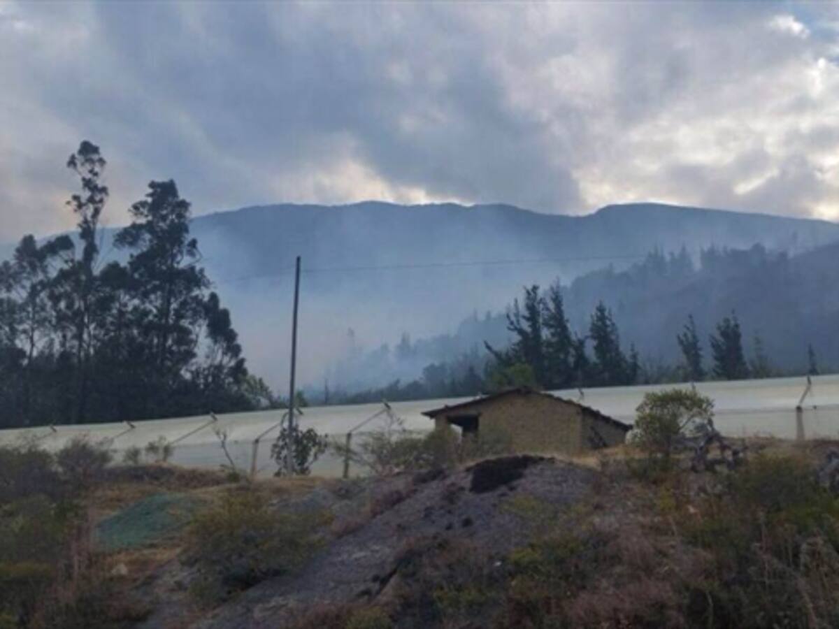 Reportan 120.933 hectáreas afectadas por deforestación en el país