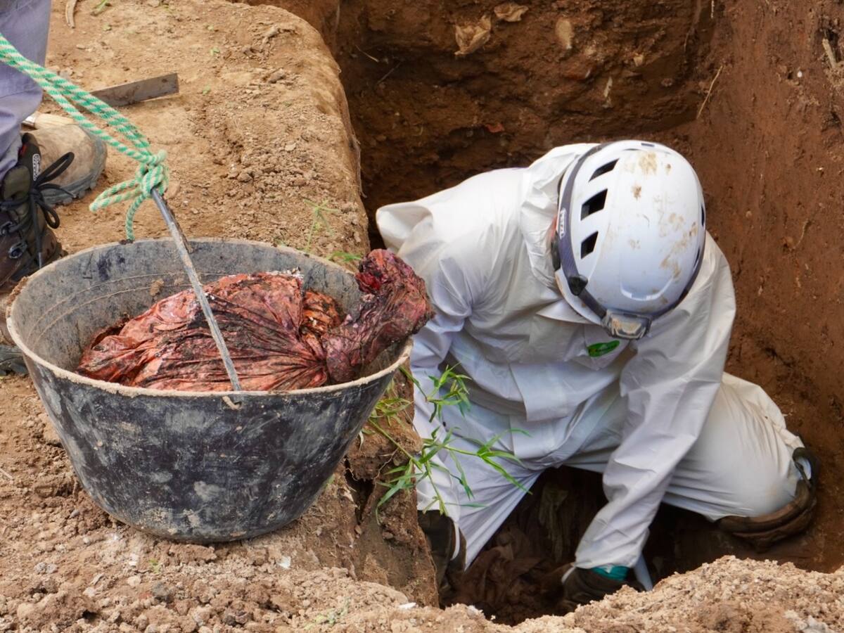 En cementerio en Neiva, fueron recuperados 12 cuerpos de personas dadas por desaparecidas.