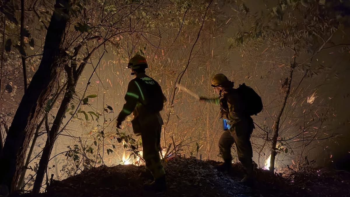 Bomberos de Bogotá envían equipo de apoyo para sofocar incendios forestales en el Tolima