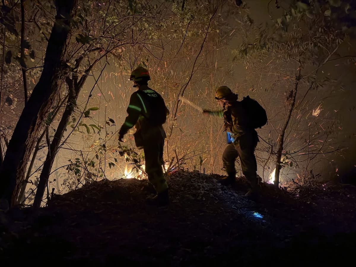 Bomberos de Bogotá envían equipo de apoyo para sofocar incendios forestales en el Tolima