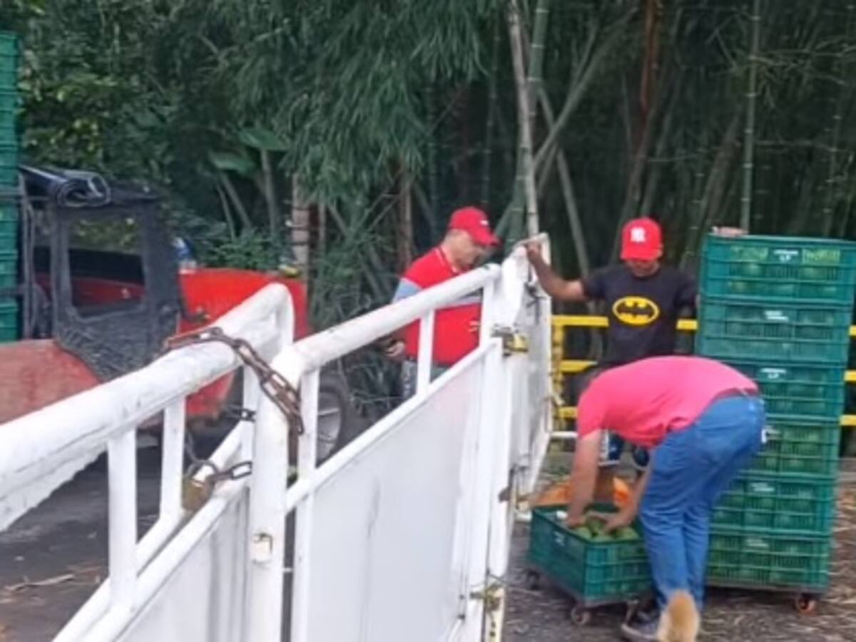 Comunidad urge por reparación del puente entre Quindío y Valle del Cauca