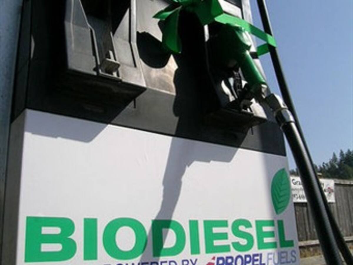 A partir del próximo año Colombia entrará de lleno en la producción de biocombustibles