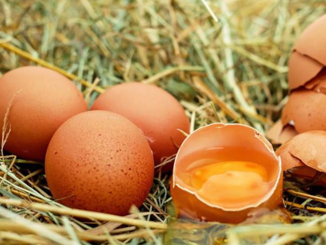Durante el 2017 se consumieron 13.827 millones de unidades de huevo: Fenavi