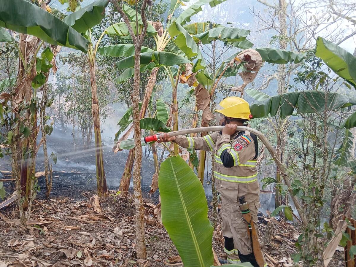 Incendios forestales en Cundinamarca: van 828 casos y 3.140 hectáreas afectadas este año