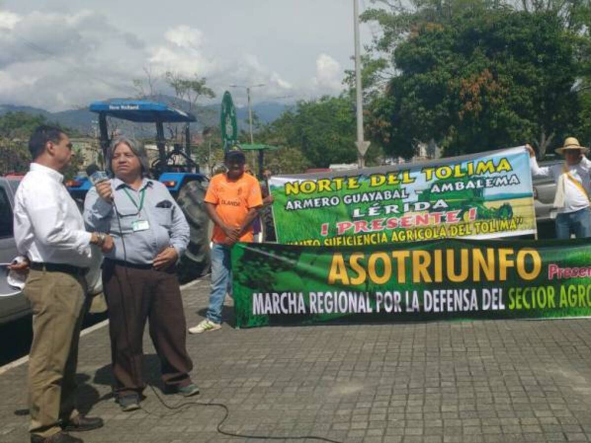 Ministerio de Ambiente conjuró paro arrocero en Tolima