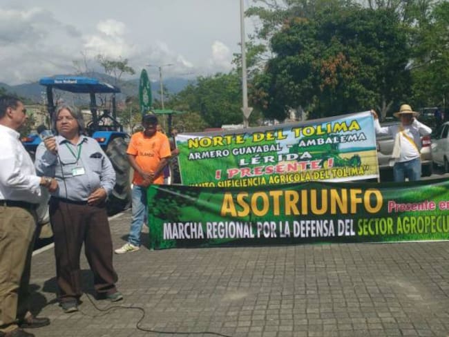 Ministerio de Ambiente conjuró paro arrocero en Tolima