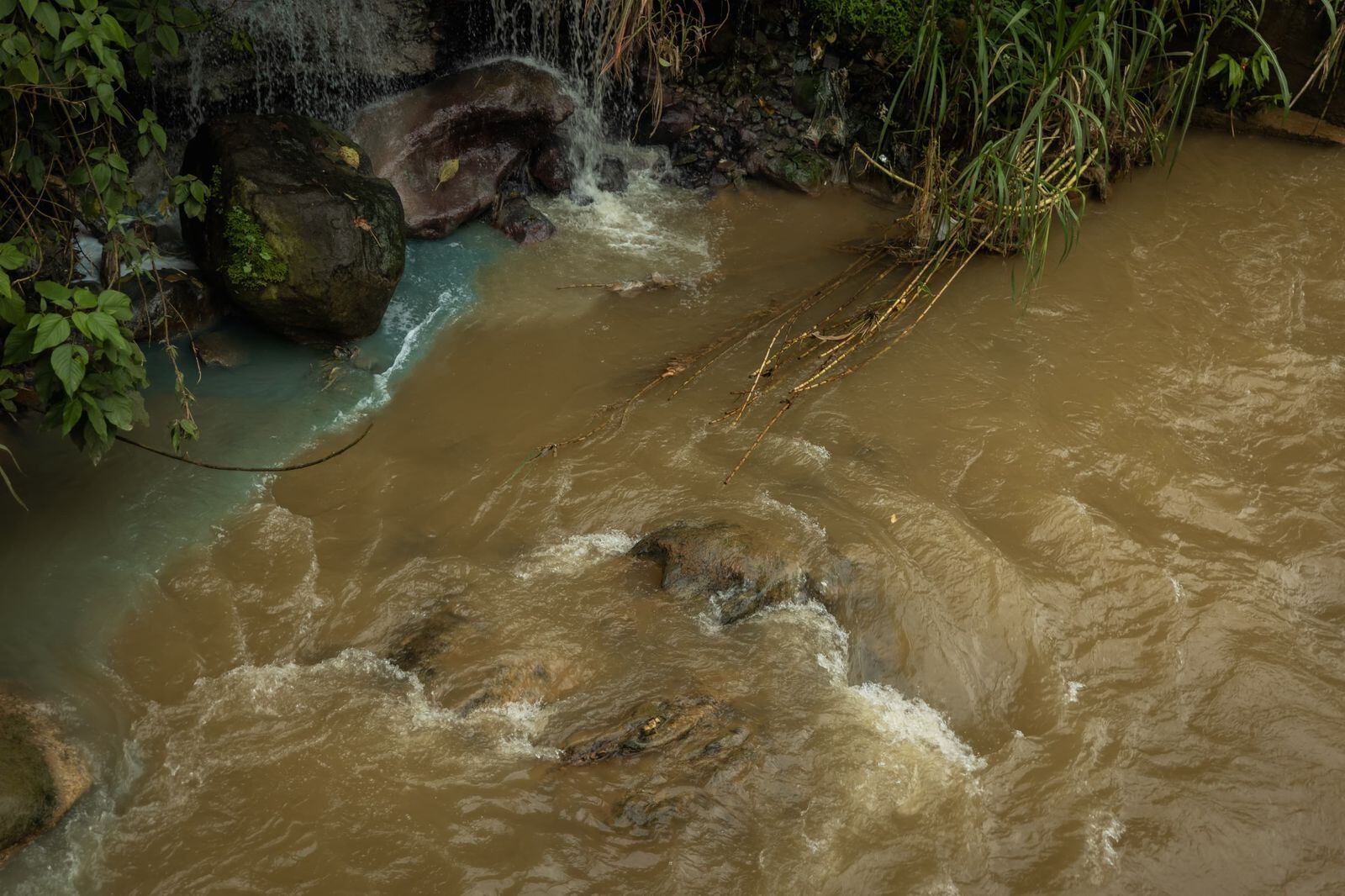 Foto: Cortesía Área Metropolitana.