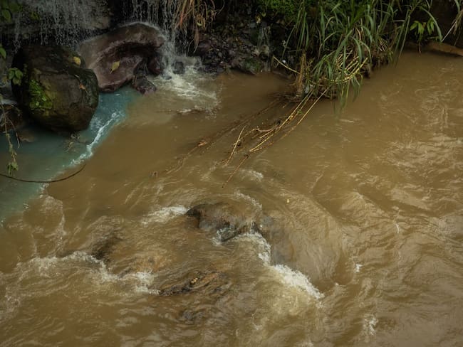 Foto: Cortesía Área Metropolitana.