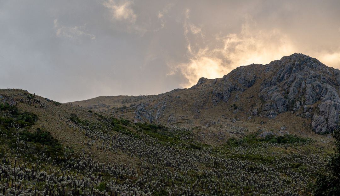 Un estudio del Instituto Humboldt afirma que aproximadamente 1,5 millones de personas de la región dependen del agua que almacena este páramo