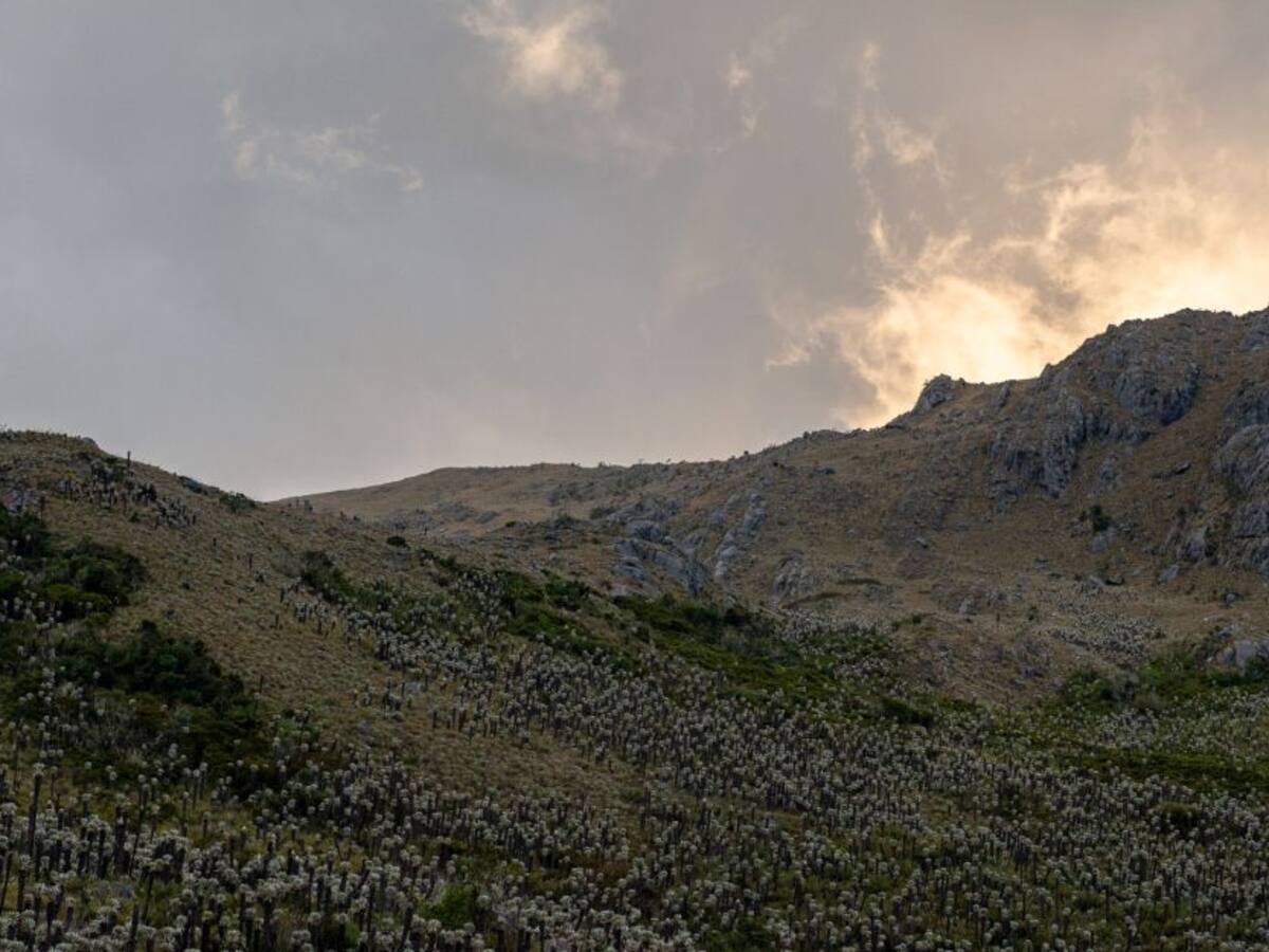 Conozca la historia de Santurbán: el emporio de agua de los santanderes