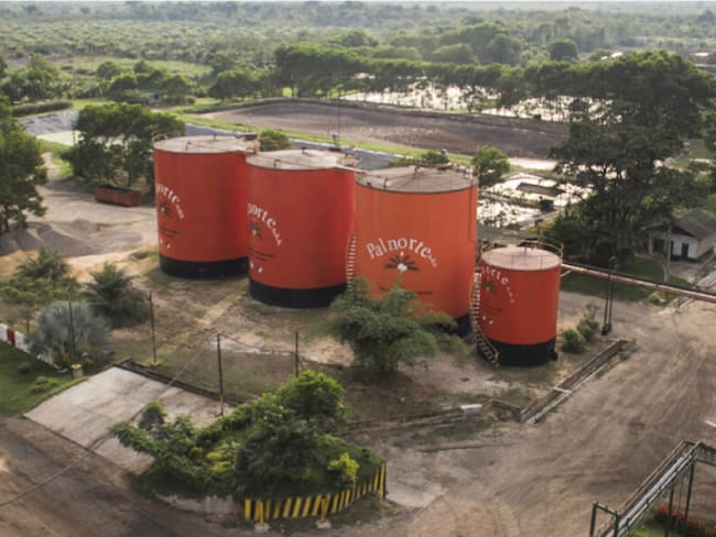 Sostenibilidad y agroindustria en Palnorte S.A.S.