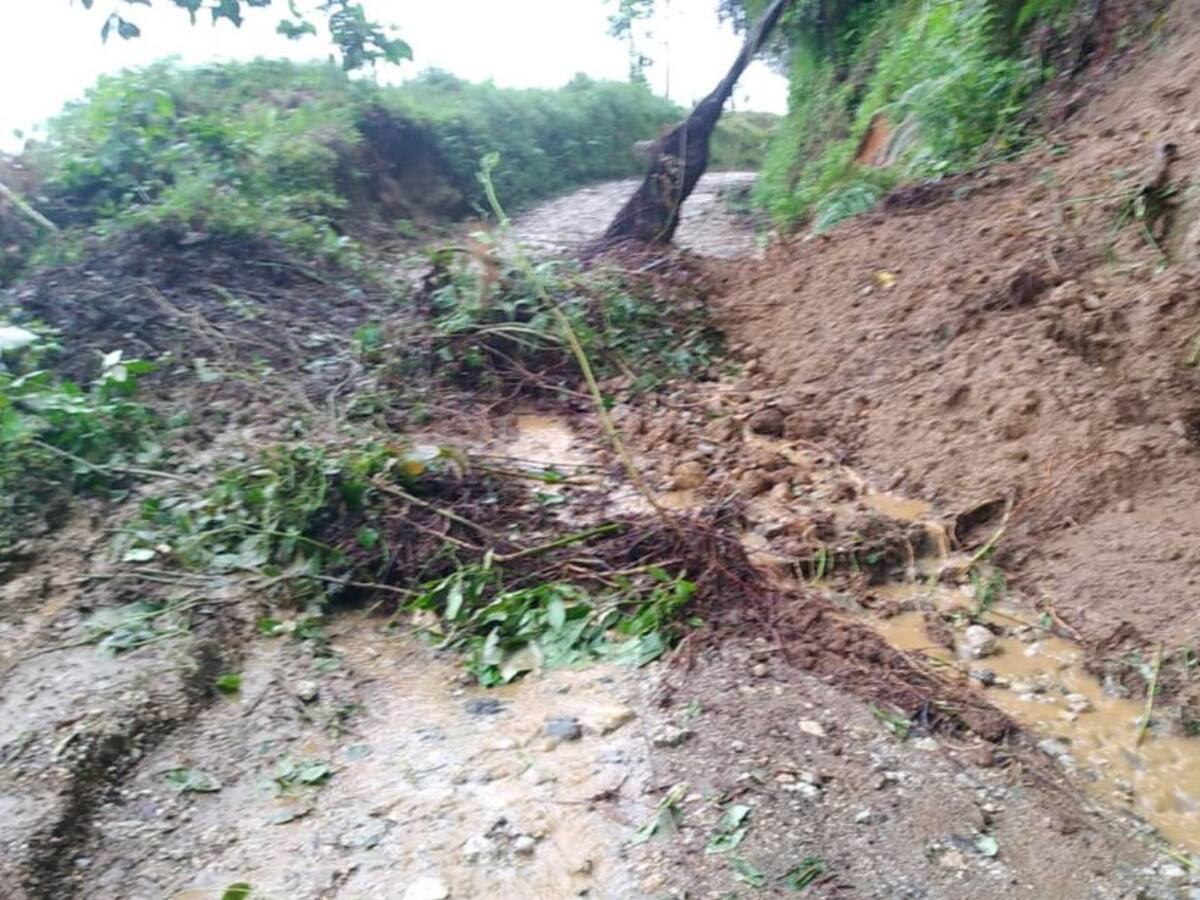 El invierno tiene en vilo a los campesinos de la Sierra Nevada