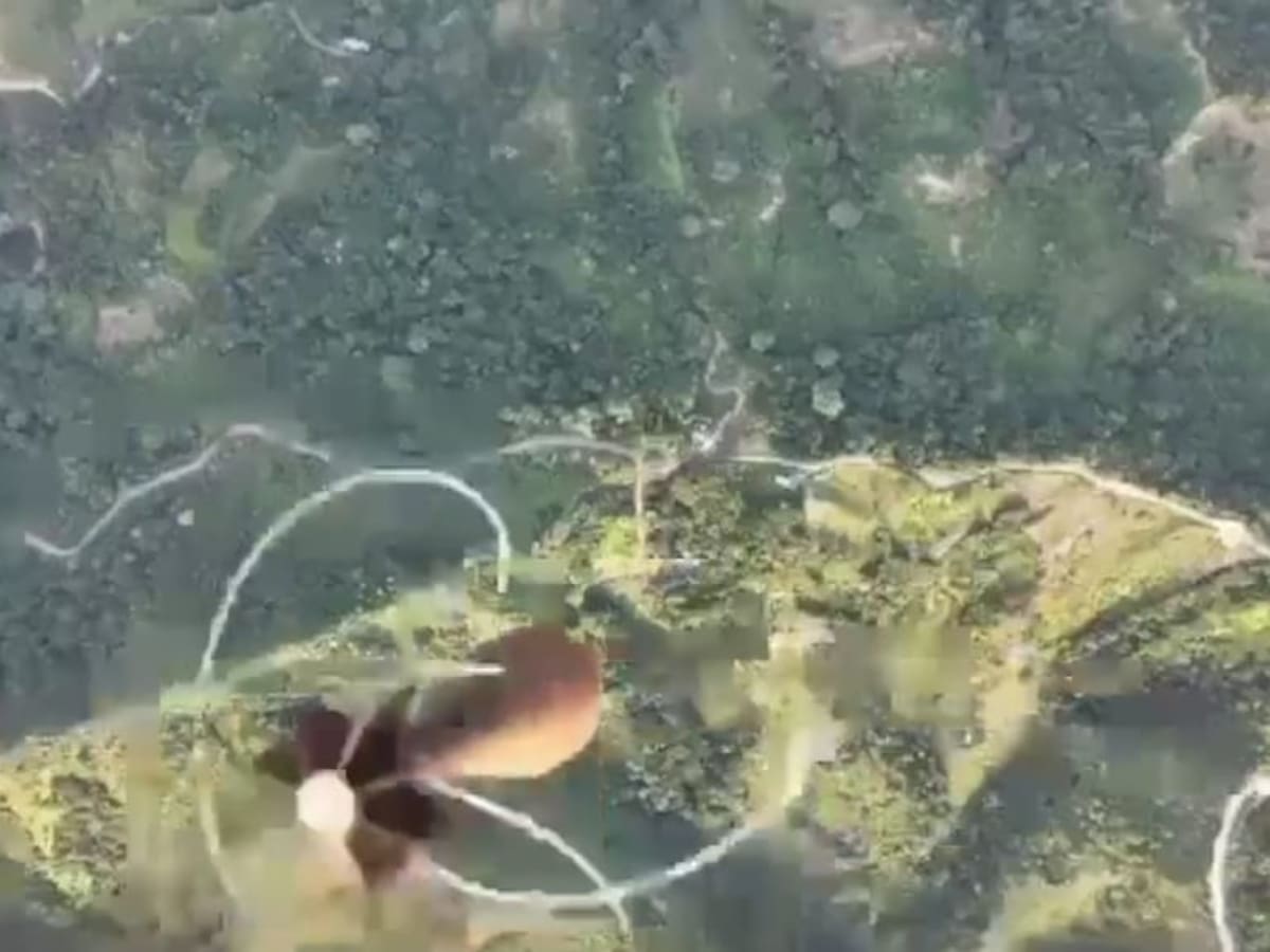 Autoridades trabajan en la adquisición de inhibidores de drones para el Catatumbo