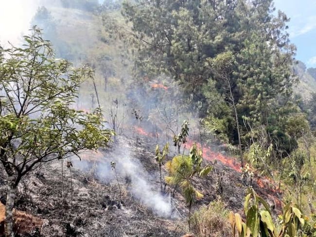 Siete incendios forestales por altas temperaturas en Medellín